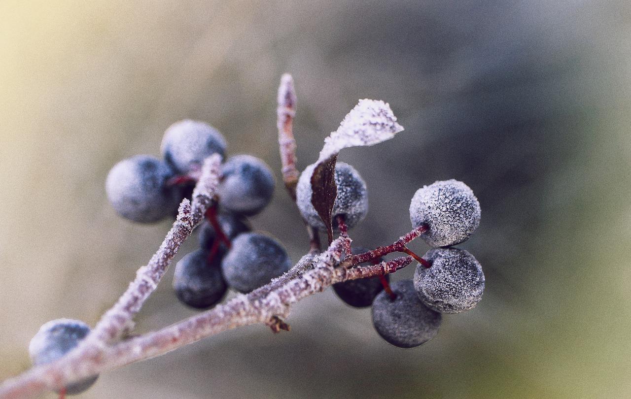 3. 检查土壤湿度