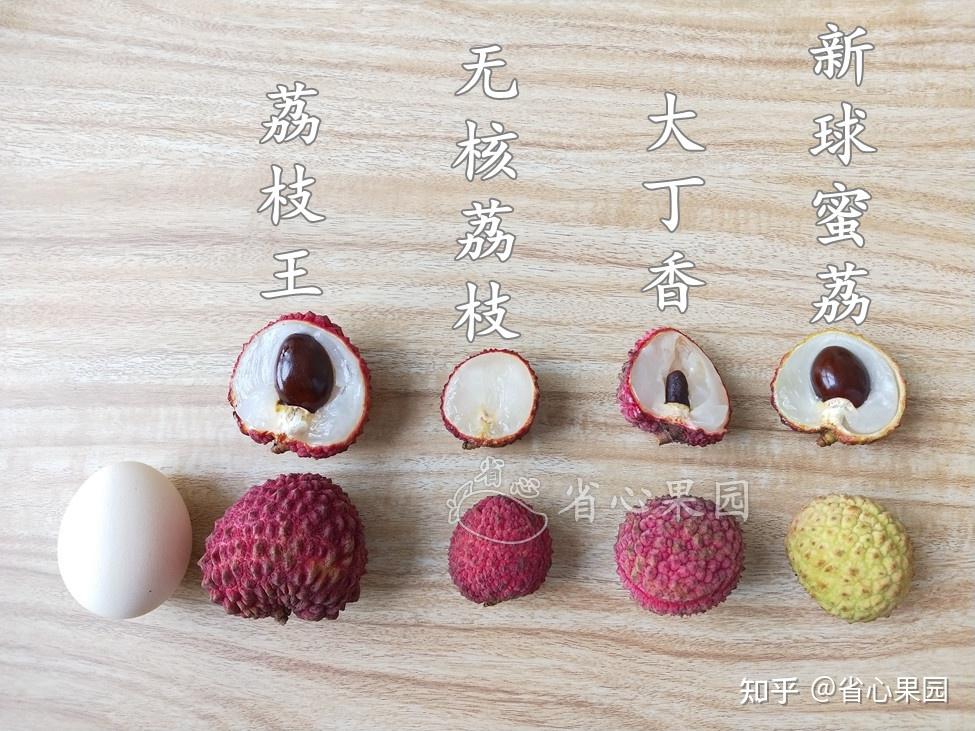 无核的荔枝是怎么培育出来的啊? - 知乎