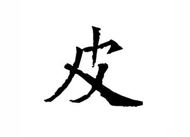 皮：汉字的起源与演变（小学一年级语文生字 第56集）