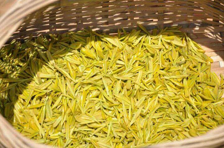 了解黄叶黄汤的黄茶,看这一篇就够了 - 知乎