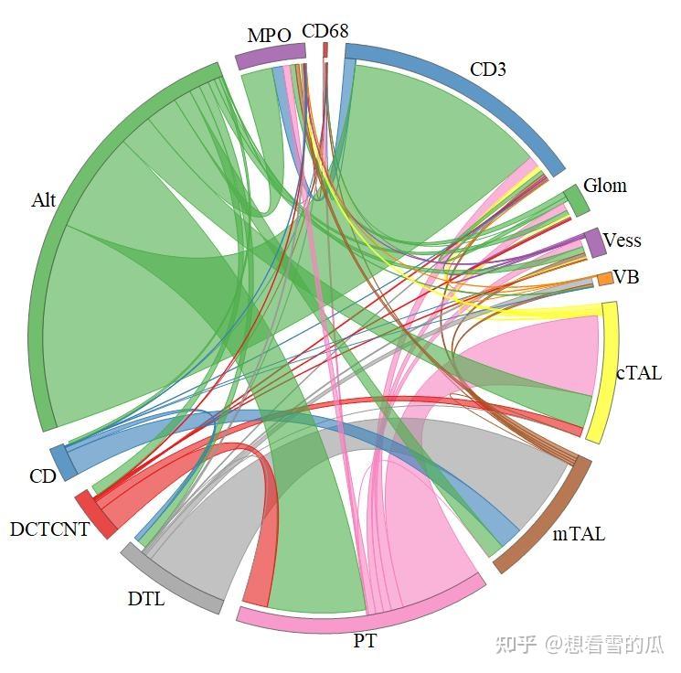Nature图形复现—Origin绘制美观的弦图 - 知乎