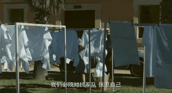 《我的企鹅老师》宠物当“老师”很离谱?不,巨好看!