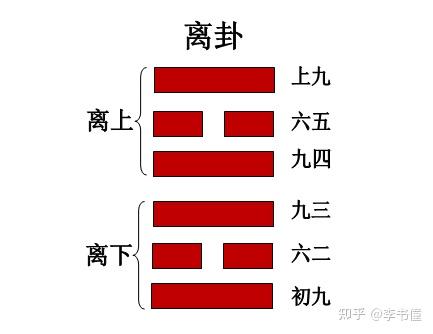 《周易》第30卦 离卦 利贞 亨 畜牝牛吉 - 知乎