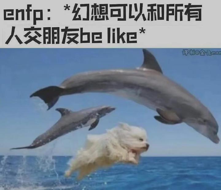 ENFP型人格的职业规划方向 - 知乎