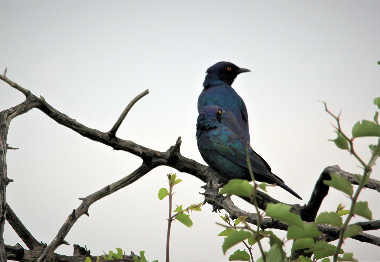 3. 北杜教育资源