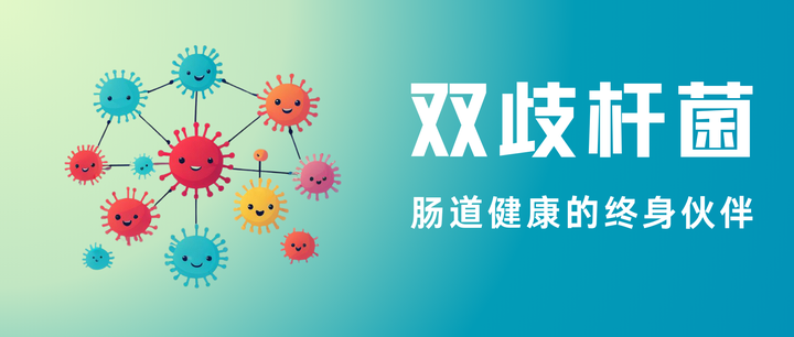 从婴儿到老年:双歧杆菌不同物种如何成为你的终身肠道盟友? - 知乎