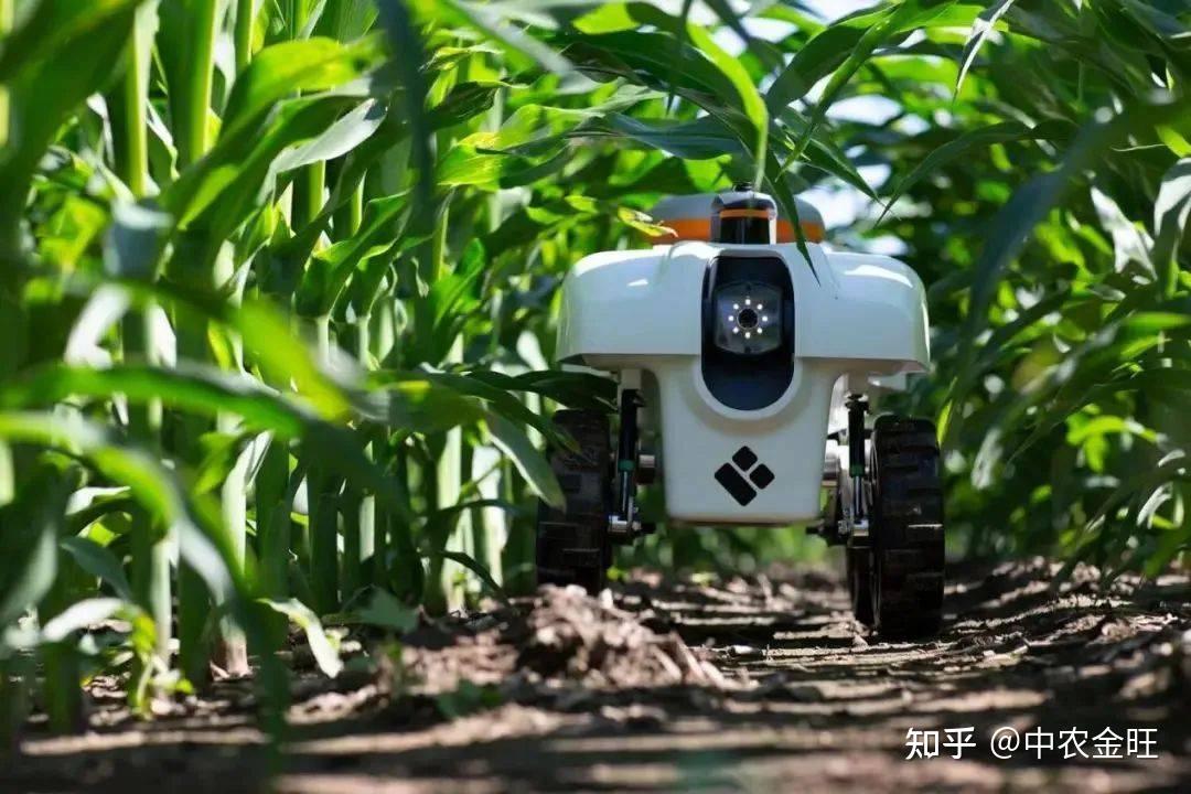 2026年农业种植痛点破局：水肥一体化系统四大品牌深度对比