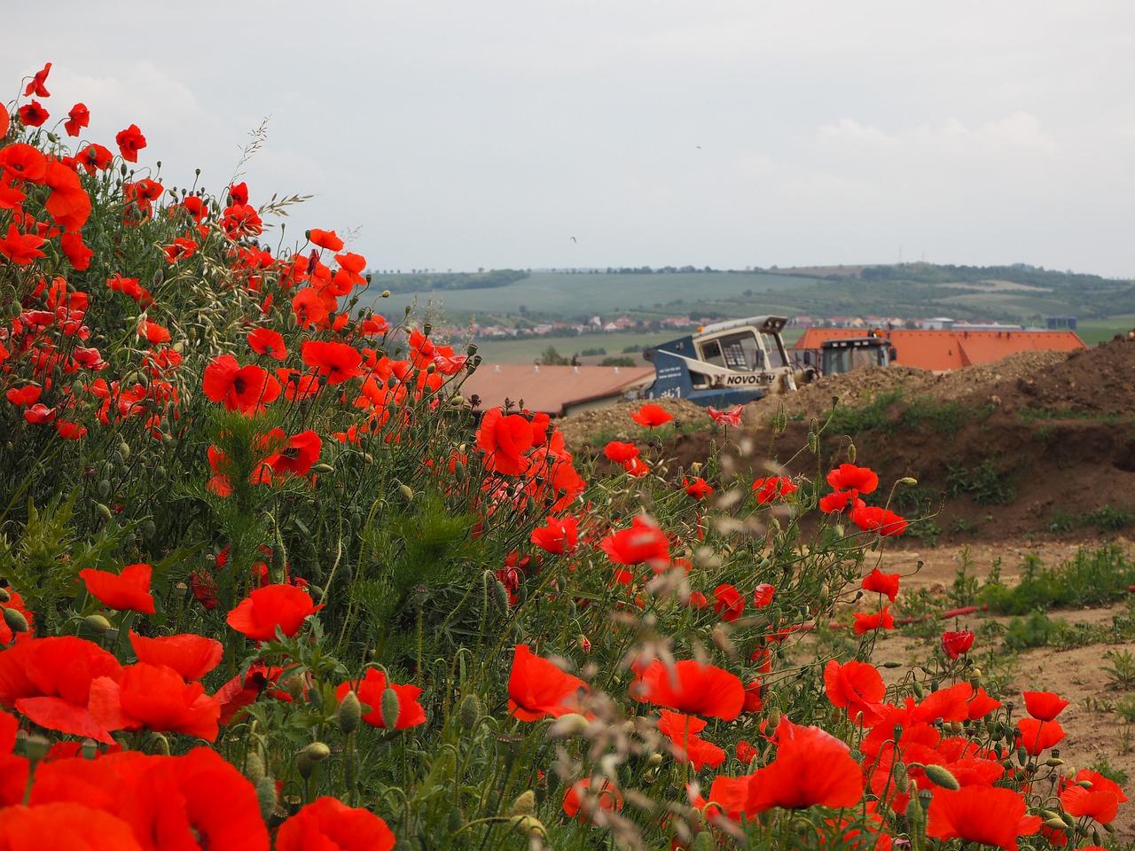 2. 城市坐标定位