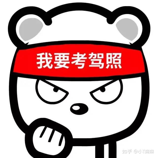 作为过来人,你们觉得人生的哪个阶段考驾照最合适?