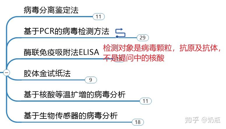 核酸检测原理图图片