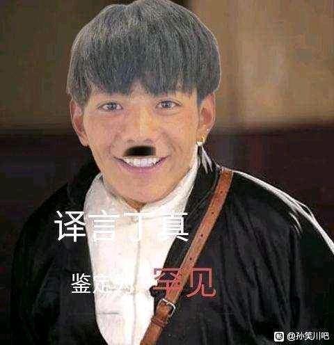 求一眼贴吧丁真表情包