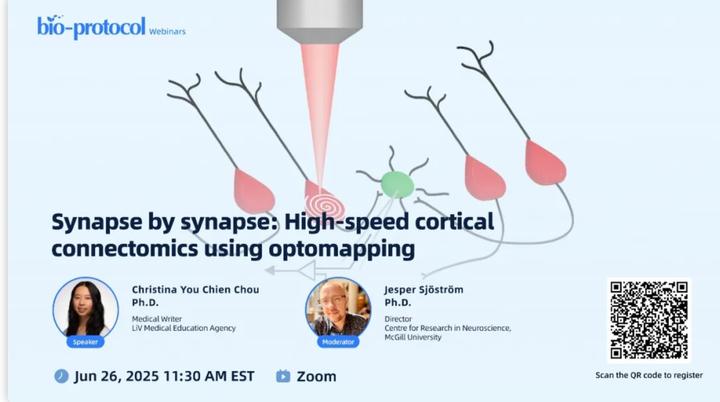 【明晚直播】百倍提速绘制脑图谱?Optomapping技术突破微电路解析瓶颈,这场直播不容错过 - 知乎