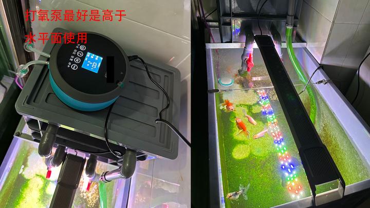 鱼缸氧气泵放在什么位置鱼缸打氧泵的正确用法