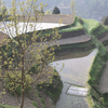 区块链程序员