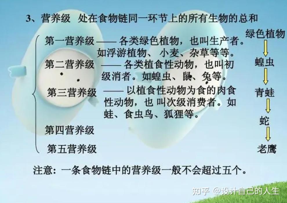 营养级是什么意思?