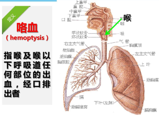 咯血病因大全及处理 - 知乎