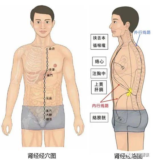 呵护你的肾经就要这么做