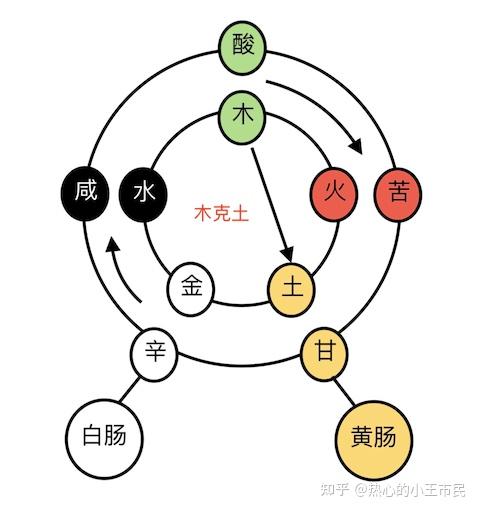 如何自学中医? - 知乎