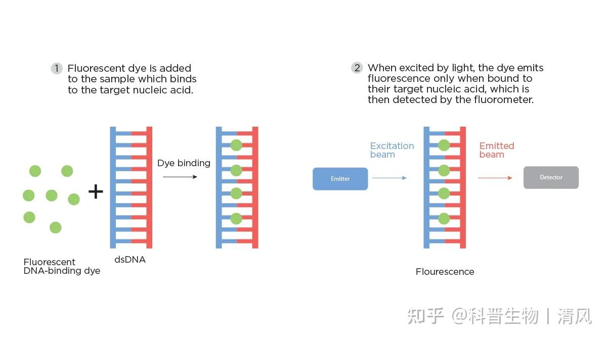 DNA 和 RNA 定量和质量指南 - 知乎