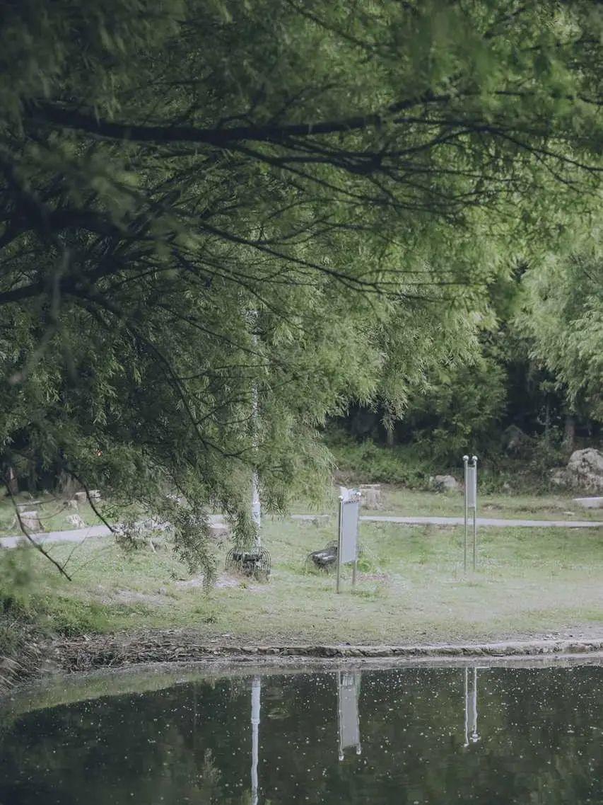 有什么美到极致的绿色壁纸?(绿色壁纸好看卡通动漫)