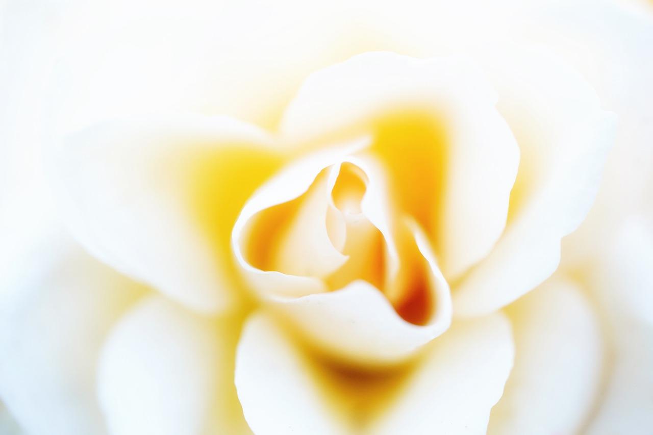 感恩陪伴，父爱永恒