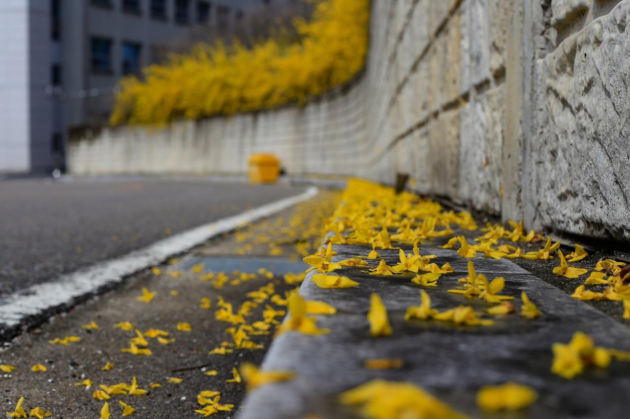 满园春色润如酥