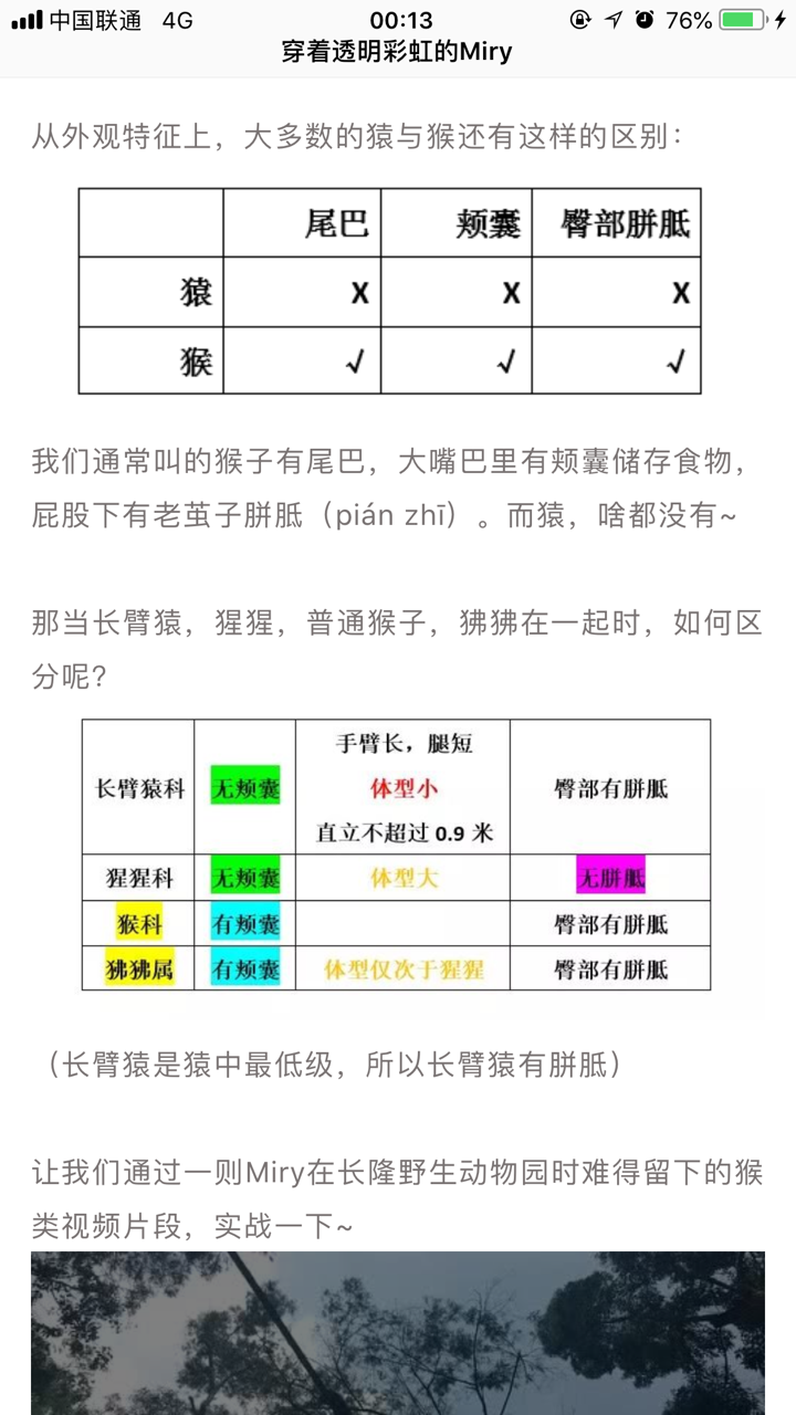 猩猩猴子狒狒大猩猩猿之间的区别是什么
