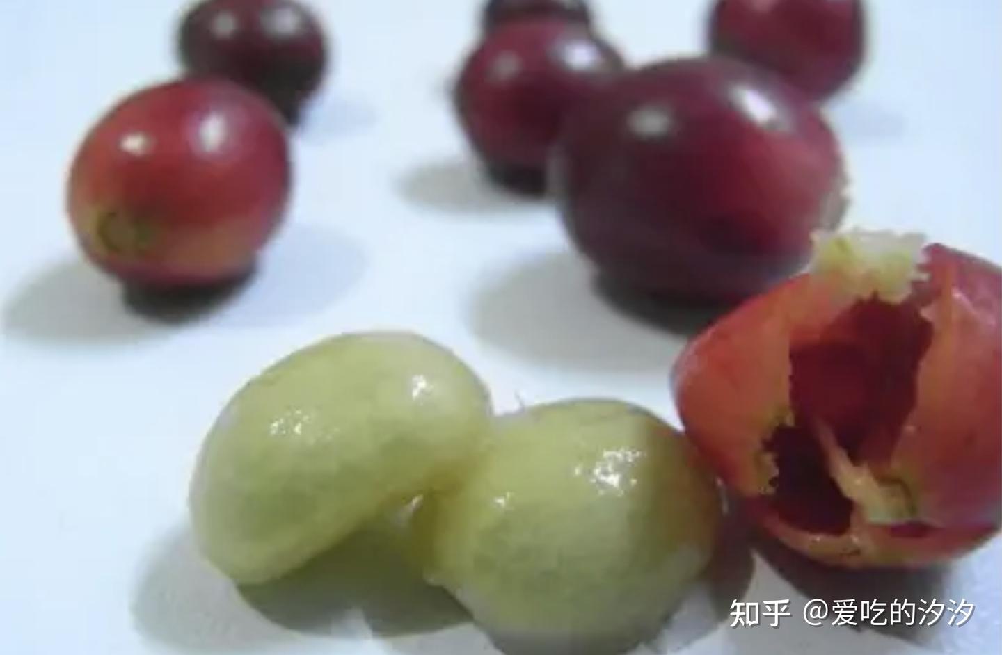 咖啡选购指南】咖啡豆的品种介绍- 知乎