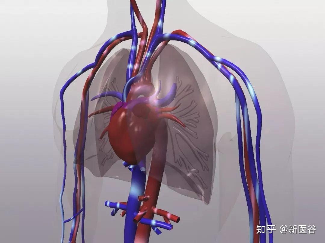 如何理解胸膜腔负压? - 知乎