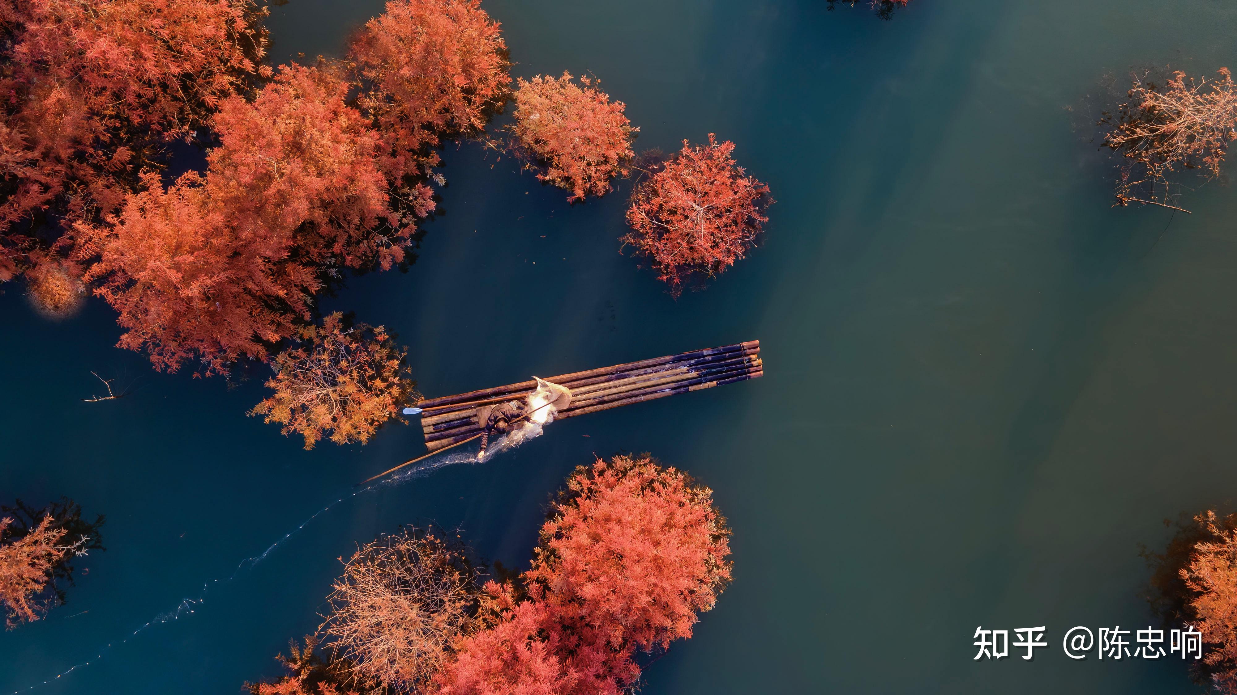 你拍到过哪些冬日绝美风景的照片? - 知乎