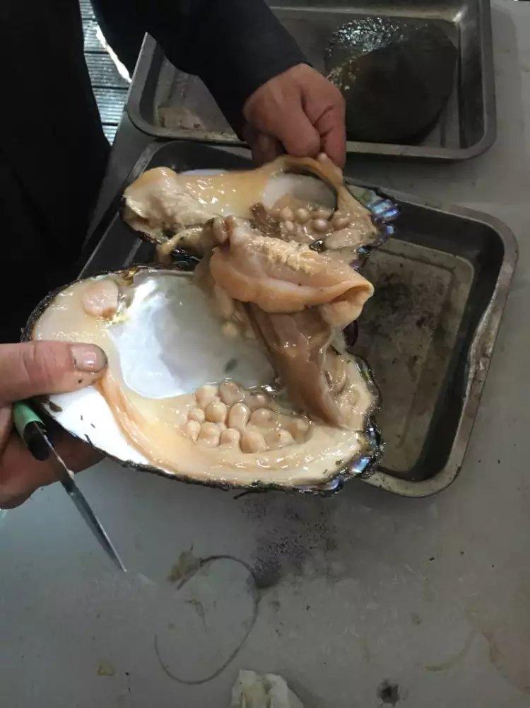 珍珠到底长在蚌哪个位置