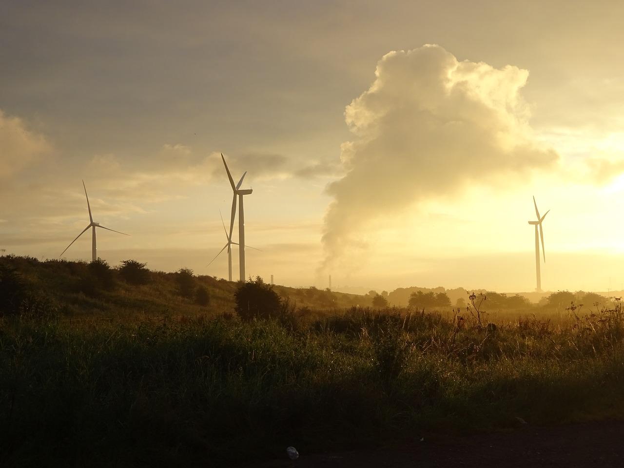 4. 水质监测体系