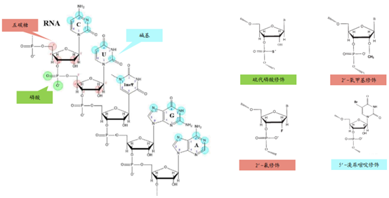 【新耀快报】行研速读|国金证券: RNA疗法前景广阔,核酸药物有望开启第三代药物浪潮 - 知乎
