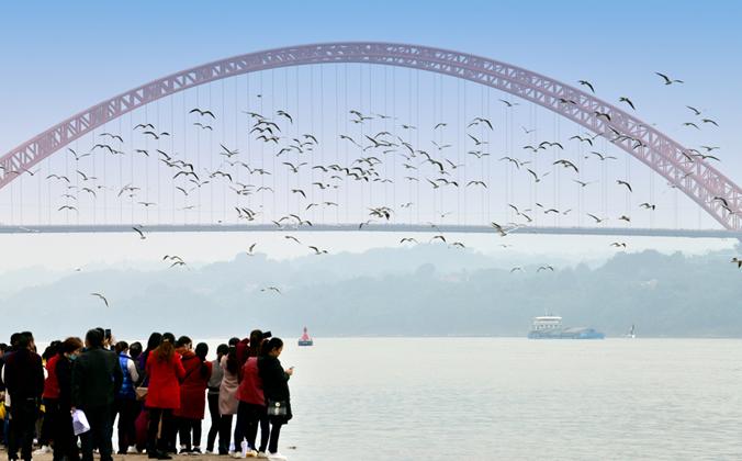 神奇的合江（三）：E状合江万年福地，一句“吖儿哪”贯古绝今——图解合江 - 知乎