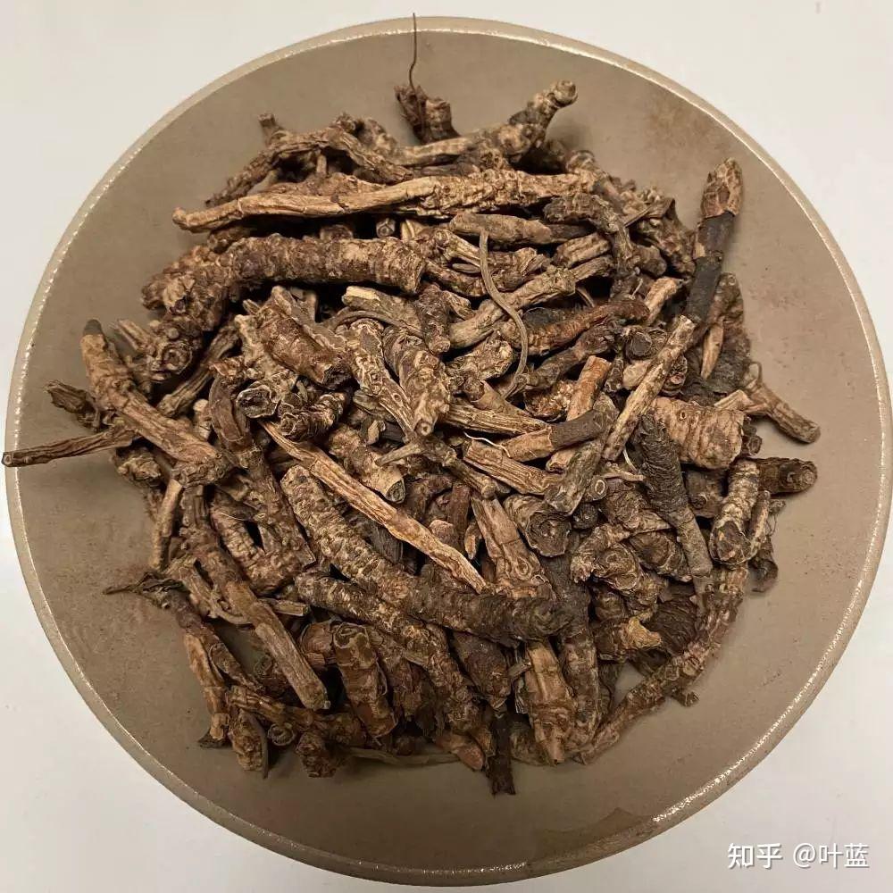 胡黄连和黄连在药性上有哪些区别? - 知乎