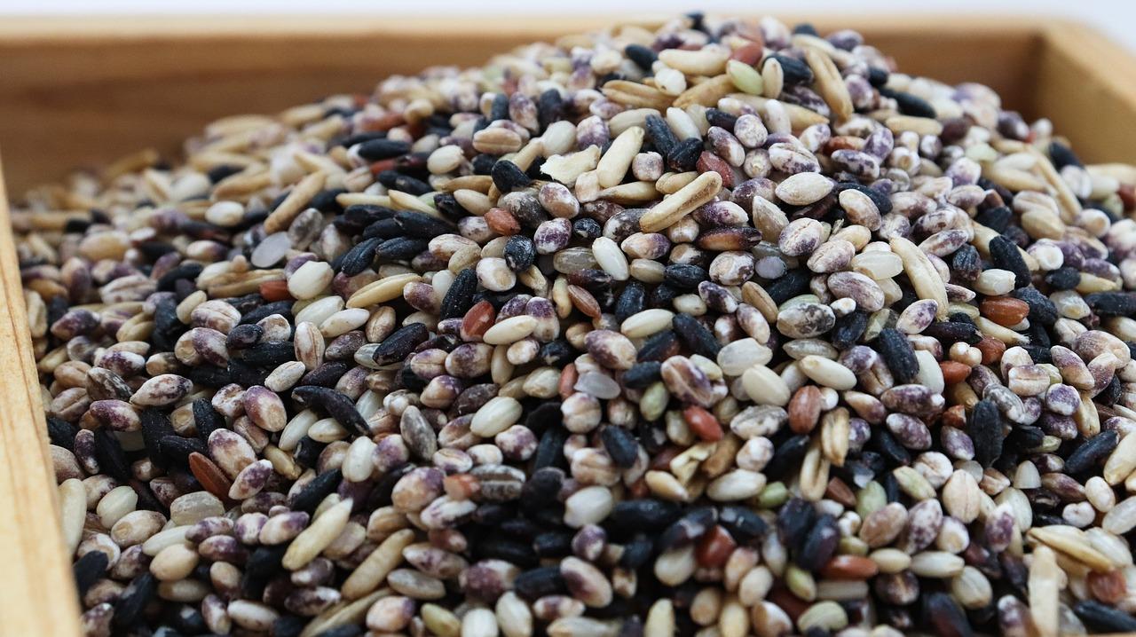 七叶一枝花亩产多少斤