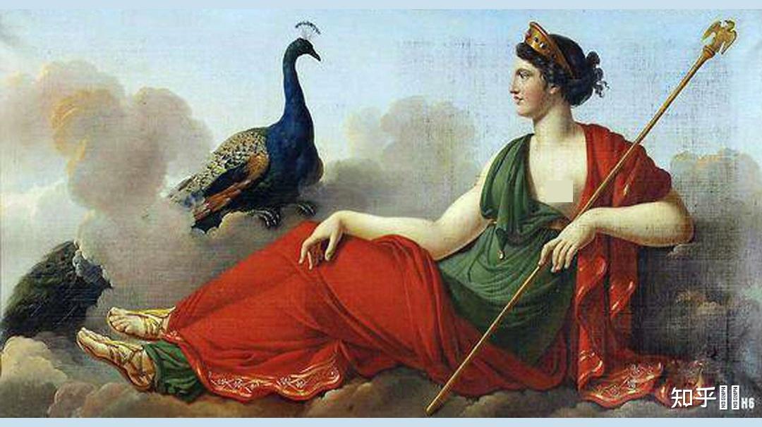 宙斯的老婆身边为什么老跟着一只孔雀? 