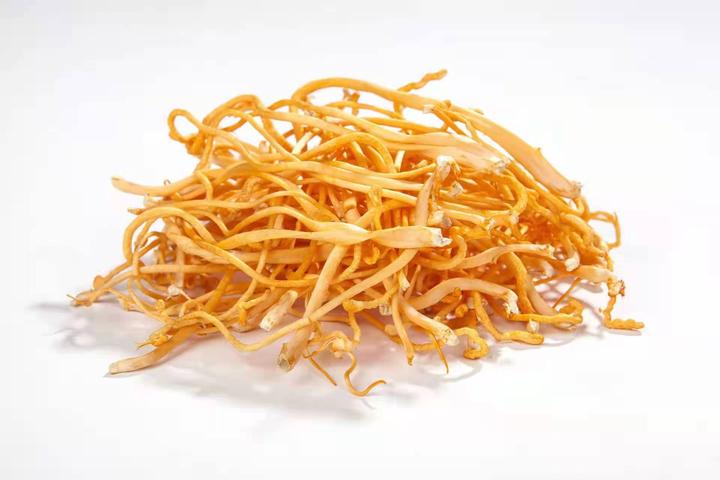 蝉花虫草的药理作用与保健功能