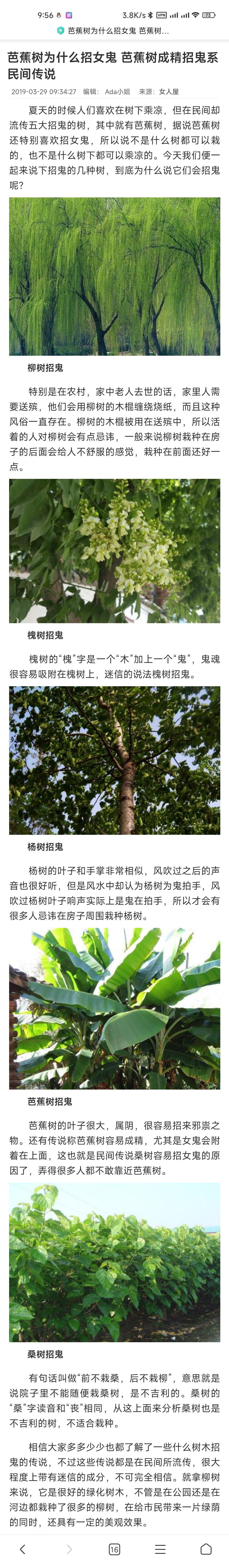 陌生人,为什么芭蕉树那么容易成精?是因为有先天灵根吗? - 知乎