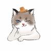 猫十一郎