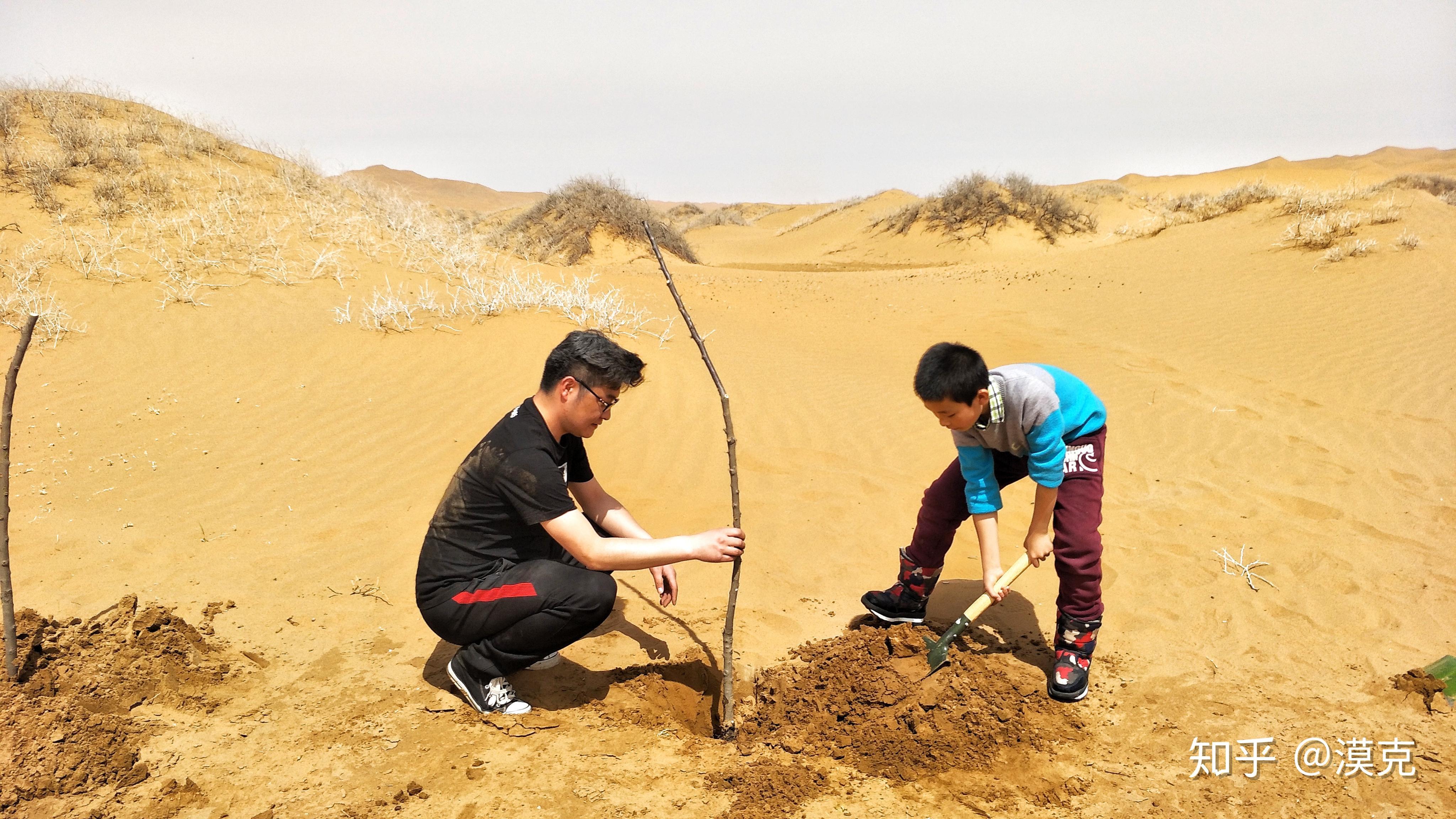 中国的沙漠是自然形成的还是人为形成的若是自然形成能否通过植树造林