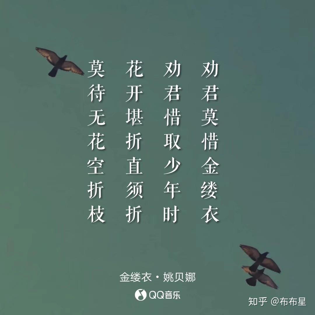 金缕衣劝君须惜少年时花开堪折直须折荬待无花空折枝这首诗是什么意思