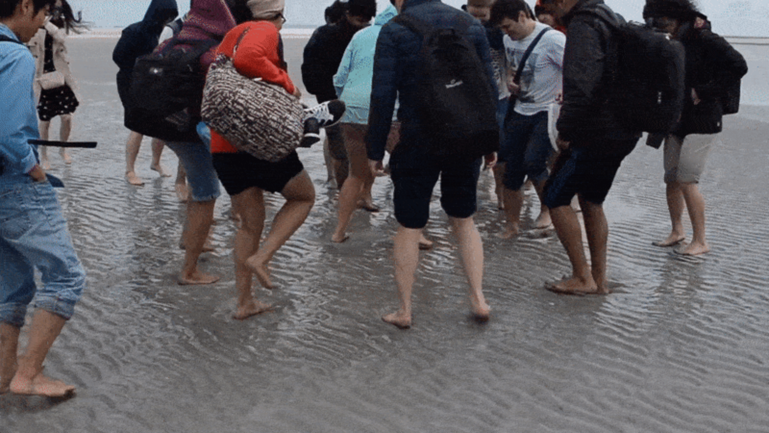 踩踏沙滩,将其变成泥浆的过程  图源:youtube  linh nguyen