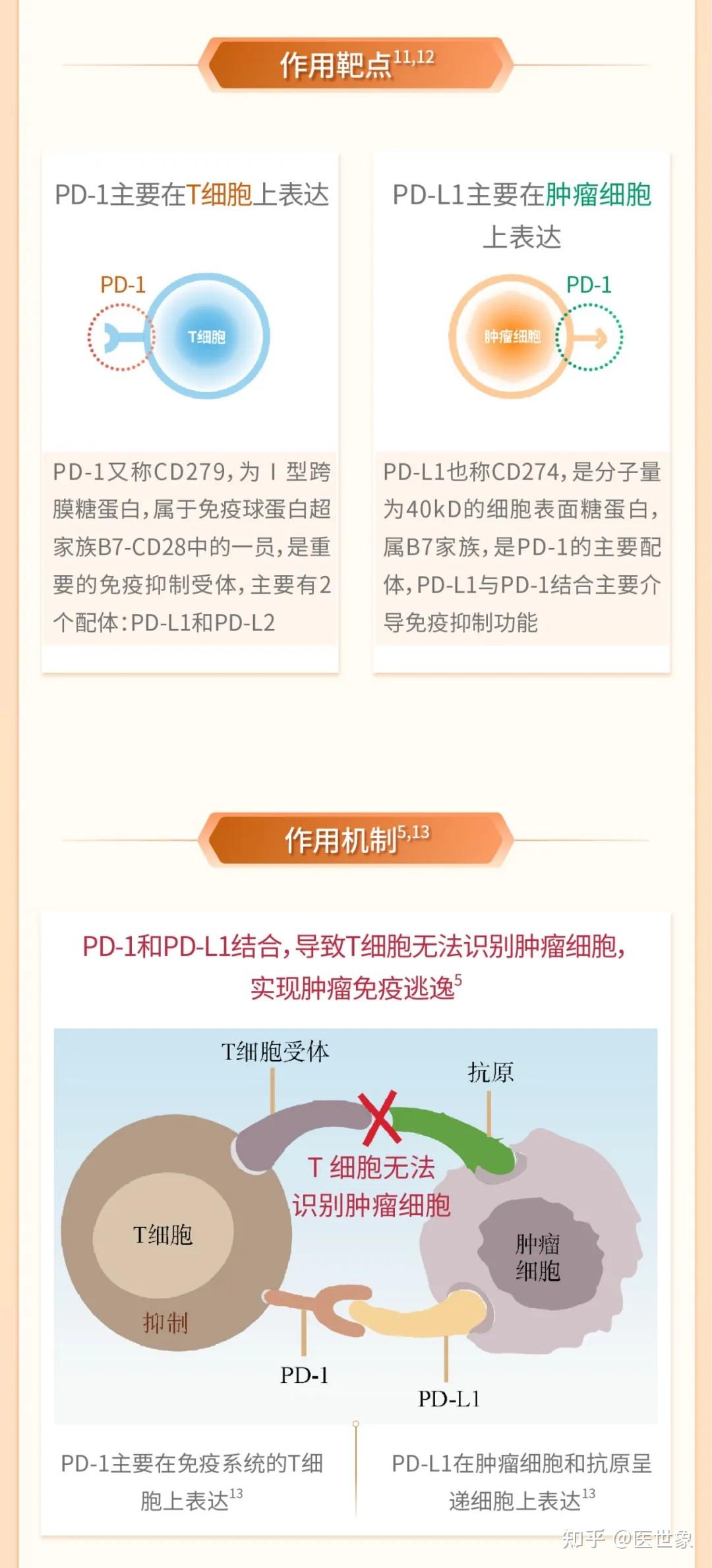 pd1和pdl1的抗肿瘤效果哪个更好