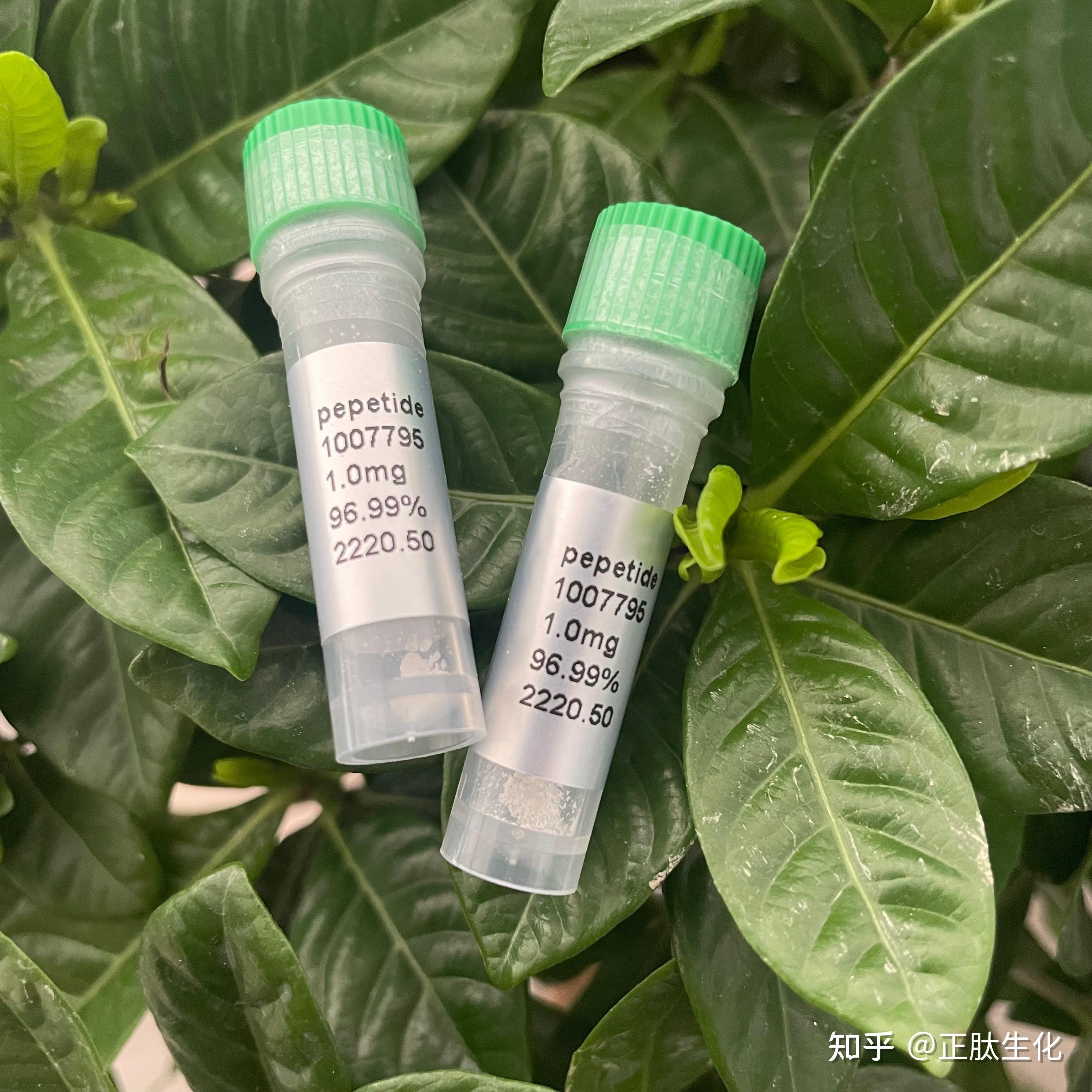 多肽合成定制生物胞素：Biocytin ( 576-19-2; (+)-Biocytin) - 知乎