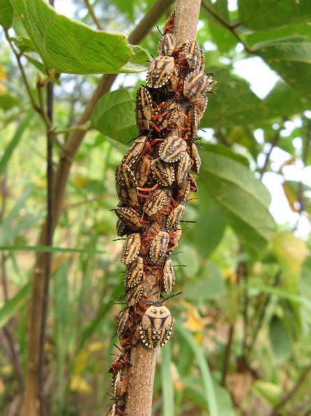 中国人到底有多能吃