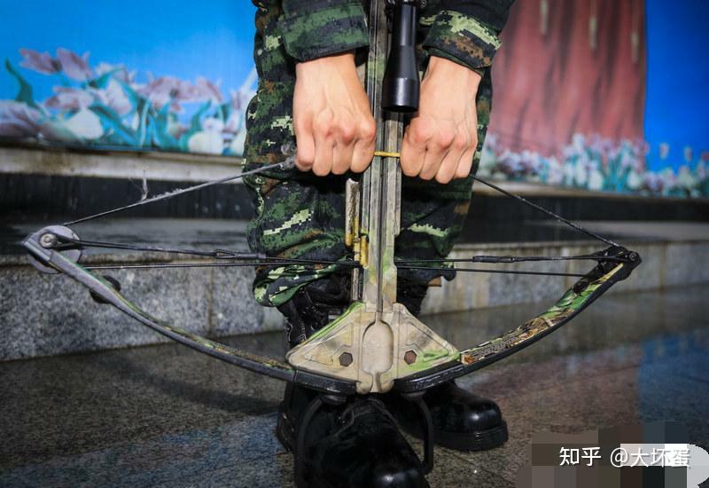 古代弩兵战术是"弩动人不动"还是"人弩皆动"? - 知乎