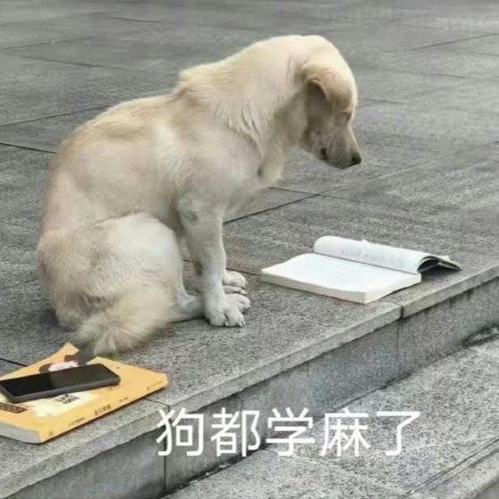 有什么适合大学生的表情包