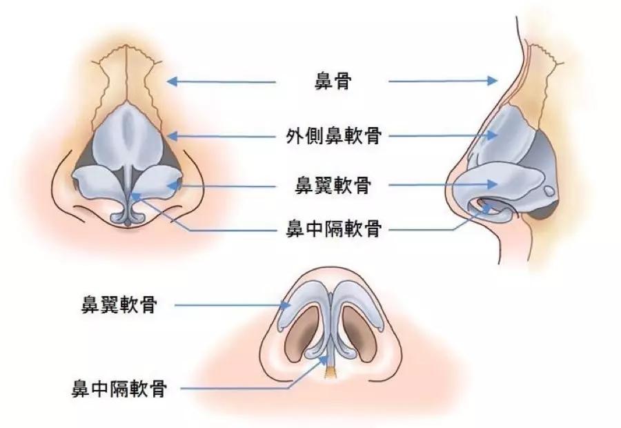 鲨鱼最新资讯-快科技--科技改变未来