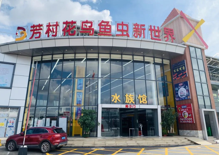 广州芳村花鸟鱼虫新世界买到星期猫维权,还被商场管理员殴打